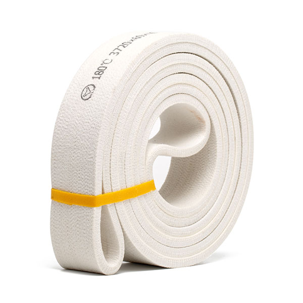 Polyester endless belt